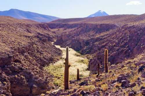 TREKKING NEL DESERTO DI ATACAMA 2015